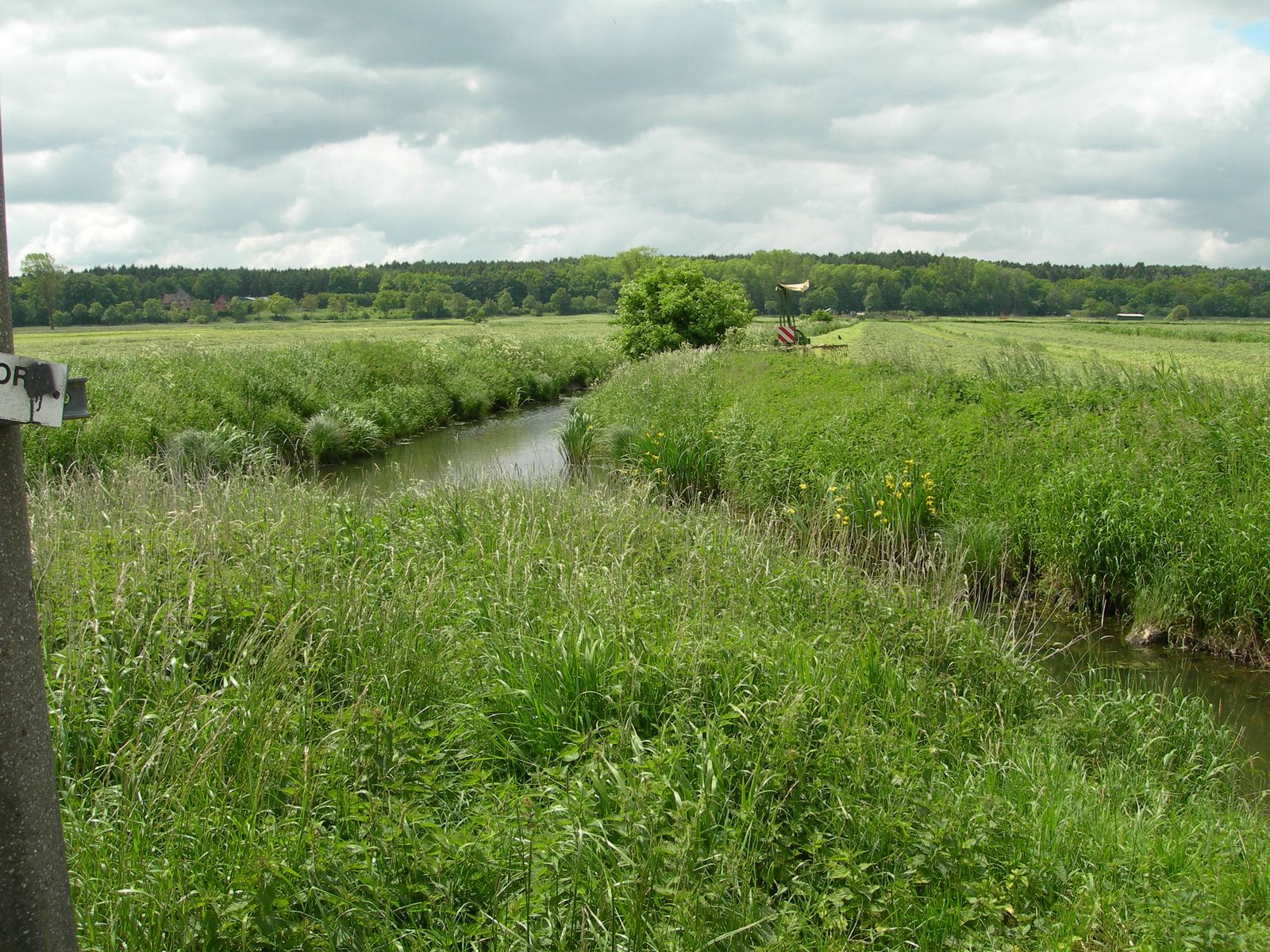 Stream through green meadows