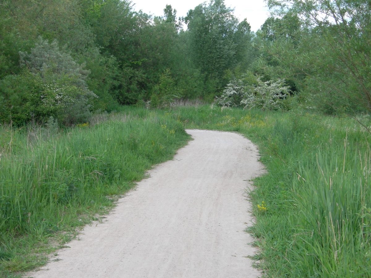 Rural idyll in Steinburg