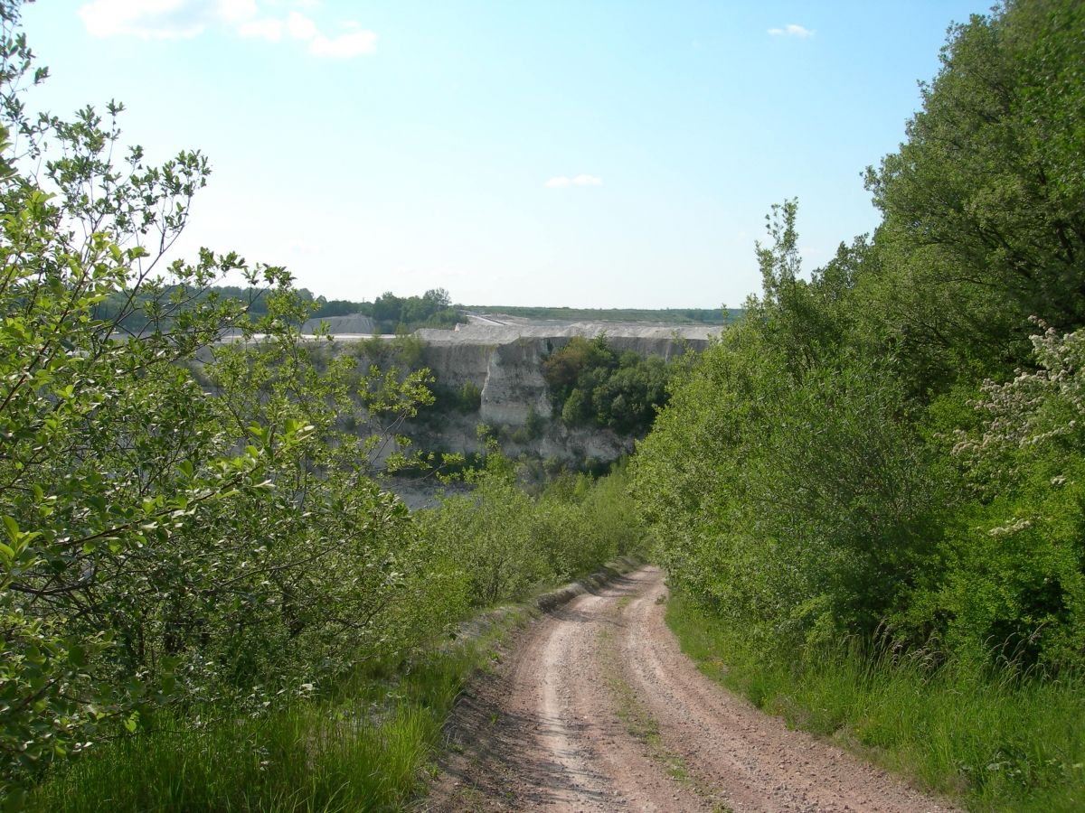 Wide view over the marshes